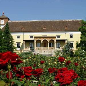 Hotel Schloss Weikersdorf Residenz & Spa