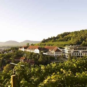 Steigenberger Hotel and SPA Superior