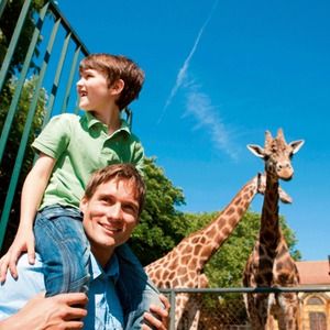 Bild: © Tiergarten Schönbrunn/Harald Eisenberger Wien für Klein & Groß