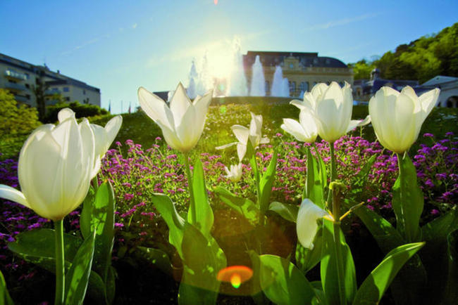 © Lammerhuber, GG Tourismus der Stadtgemeinde Baden Eintauchen in Kunstgenuss