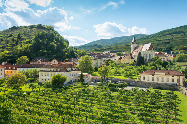 Spitz im Frühling
© Donau Niederösterreich/www.extremfotos.com Spitz im Frühling / Kultur & Genuss im Weltkulturerbe Wachau