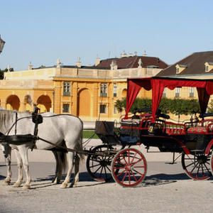 Bild: © Jean-Jacques Cordier - fotolia.com FairReisen Package - Parkhotel Schönbrunn ****