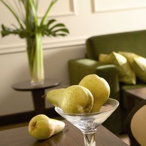 FairReisen Package - The Ring, Vienna's Casual Luxury Hotel *****