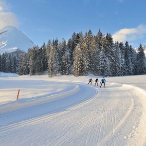Bild: © Tirol Werbung/Josef Mallaun Nordic Lifestyle