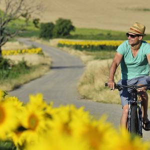 Bild: © NTG/steve.haider.com Idylle am Neusiedler See