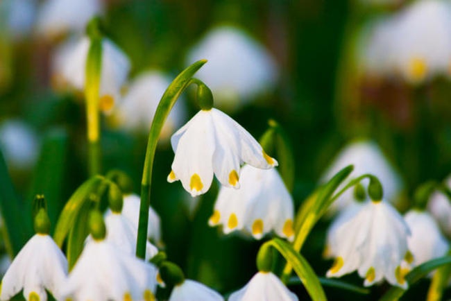 © Suzesizu - fotolia.com Ostern im A-ROSA Kitzbühel *****