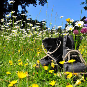 Kép: © sonne Fleckl - fotolia.com 20% Ermäßigung im DAS Kaltschmid - Familotel Tirol ****