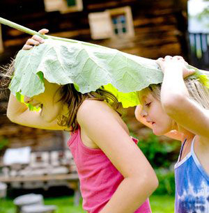 © Steiermark Tourismus / ikarus.cc Mondial FairReisen